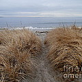 Looking Out To Sea