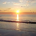 Gulls Dance In The Warmth Of The New Day