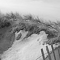Winter at the Beach